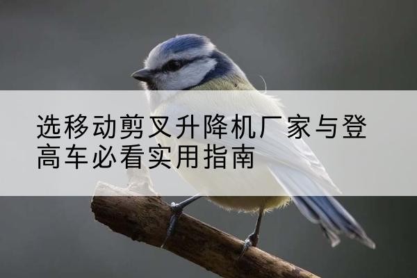 桓台电动升降机厂家-选移动剪叉升降机厂家与登高车必看实用指南