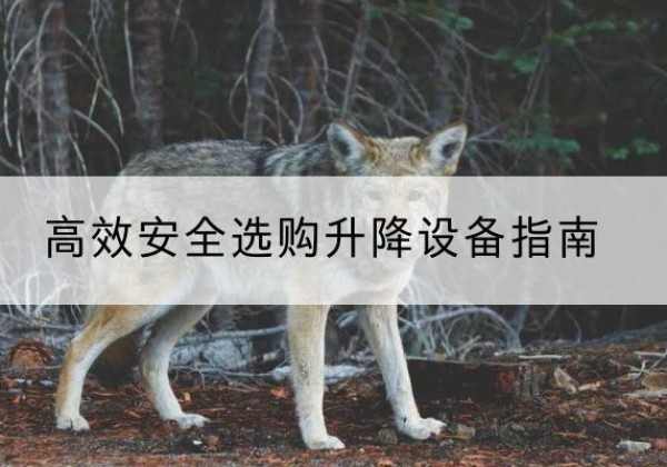 桓台升降货梯厂家推荐-*安全选购升降设备指南