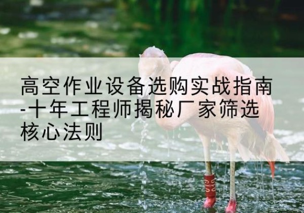 桓台剪叉式升降机厂家-高空作业设备选购实战指南-十年工程师揭秘厂家筛选核心法则