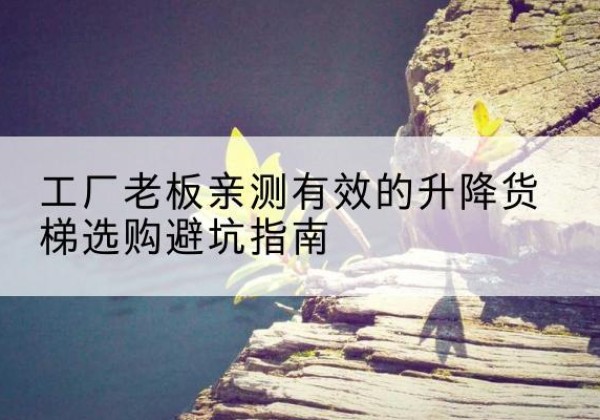 桓台升降货梯怎么选-工厂老板亲测有效的升降货梯选购避坑指南